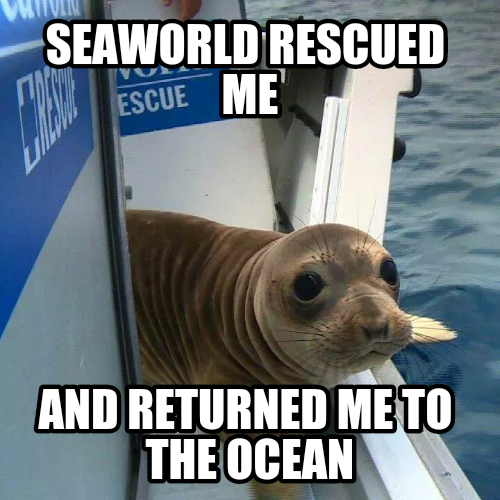 mfw seaworld releases a pup