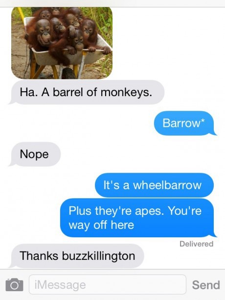 A barrel of monkeys