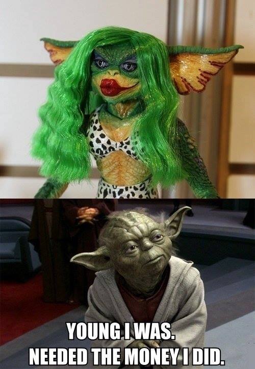 Yoda the ***