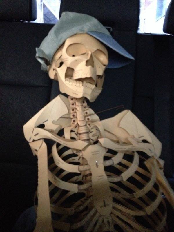 This is Freddy! Our new friendly Skeleton! If you want to see more of him... wait for more...
