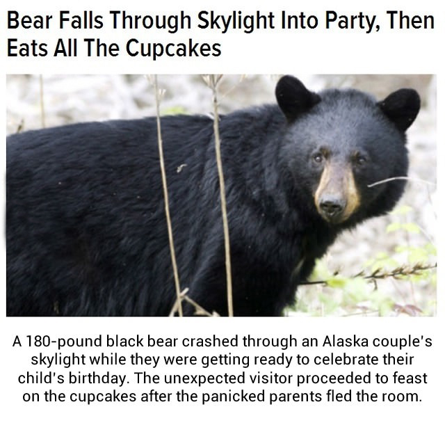 It's funny because it's black. C'mon, that's bearly racist.