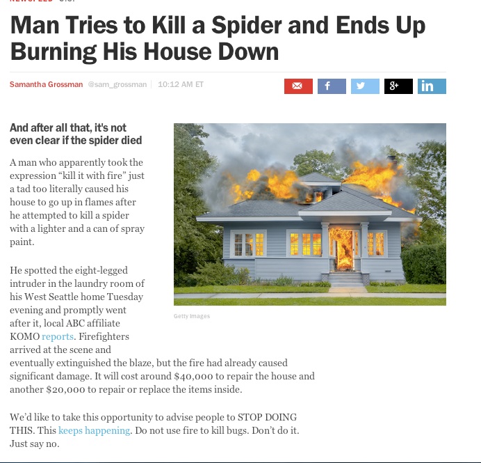 It's not even confirmed if the spider died...