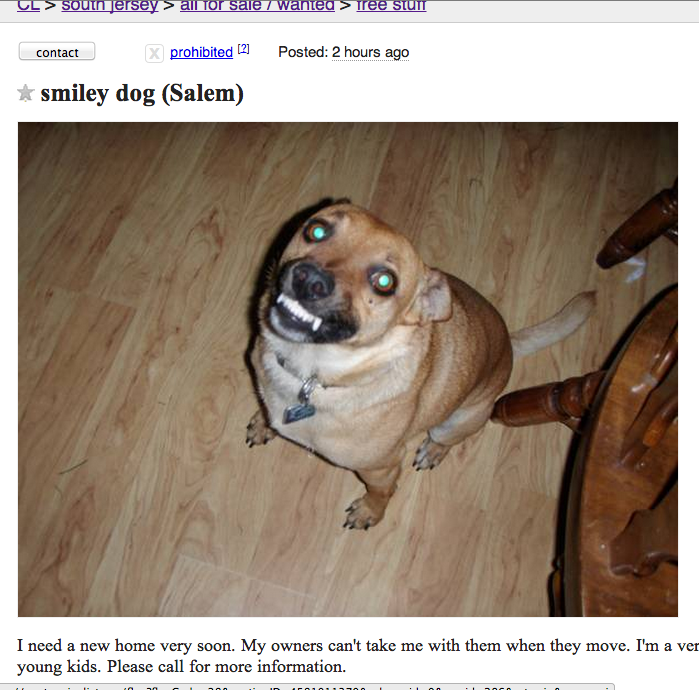 Free Satanic Dog on CL