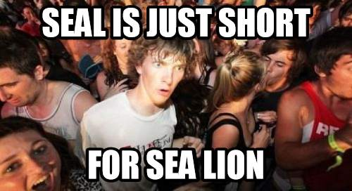 The kind of things you realize while playing Pokemon