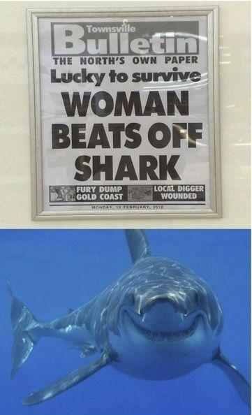Shark Week Winner