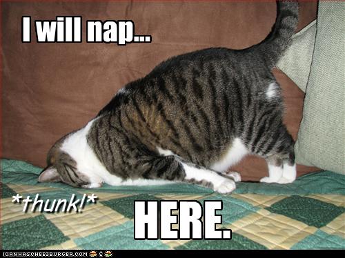 A strange way to nap :D