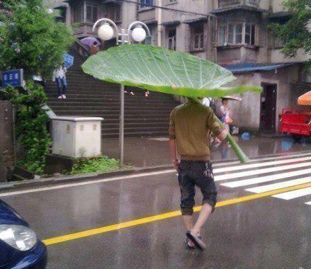 Awesome umbrella :)