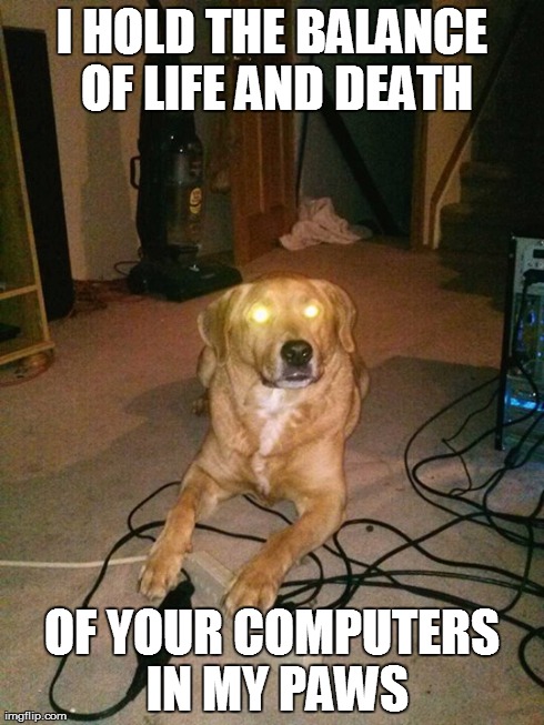Alien dog is invading your PC (OC)