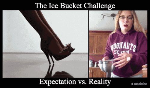 Ice Bucket Expectations