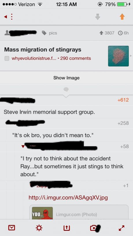 "Steve Irwin memorial support group"