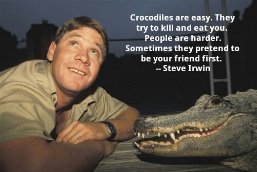 Omg Steve Irwin, best day ever -crocodile