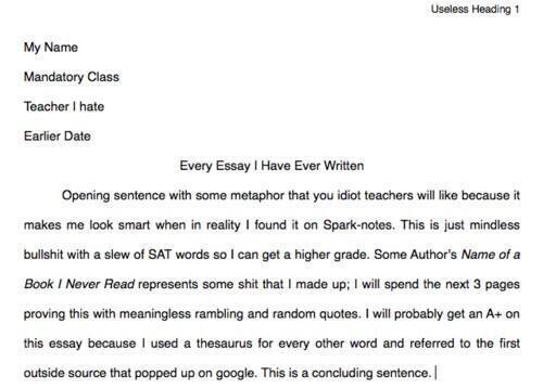 Writing essays - for beginners