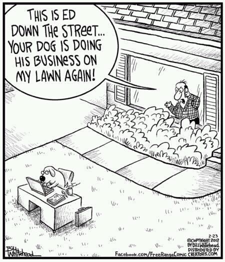 Your dog is doing his business