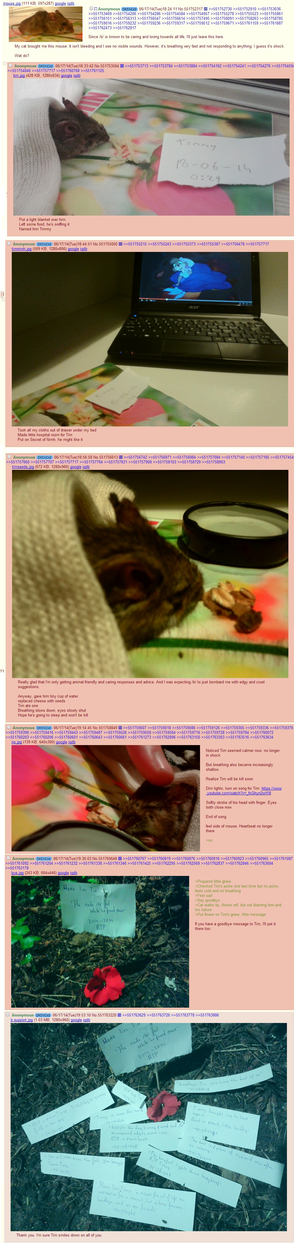 /b/ caring for Timmy.