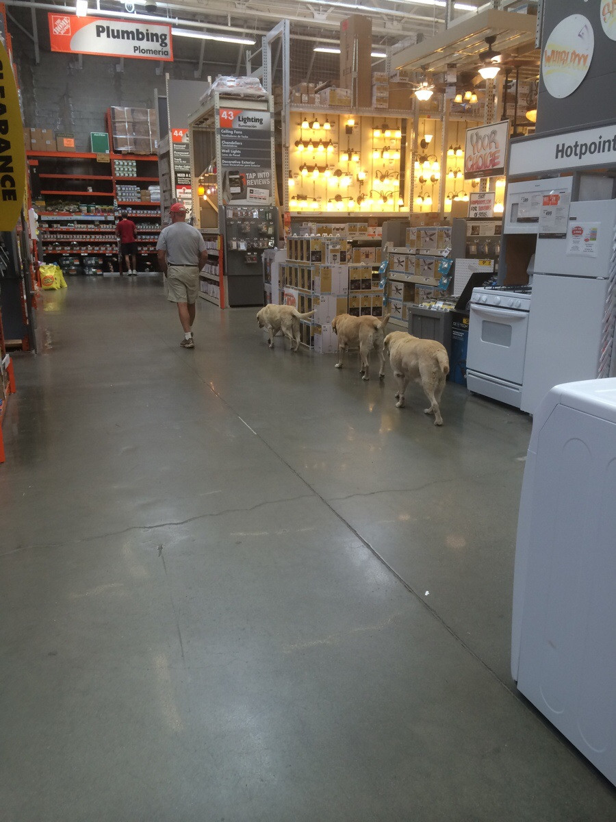 This dude brought his entire crew to the store with him.