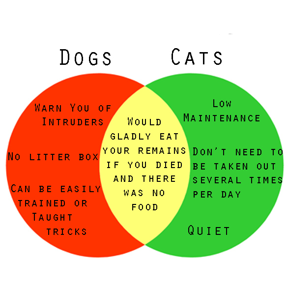 Dogs vs. Cats.