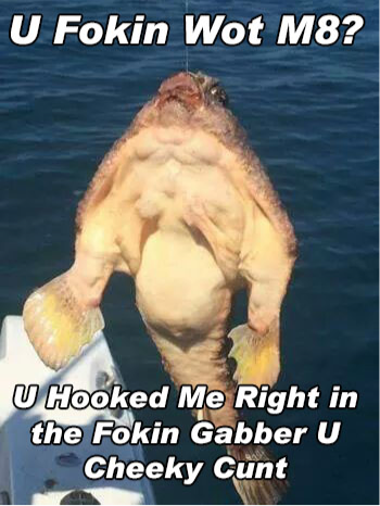 U wot m8