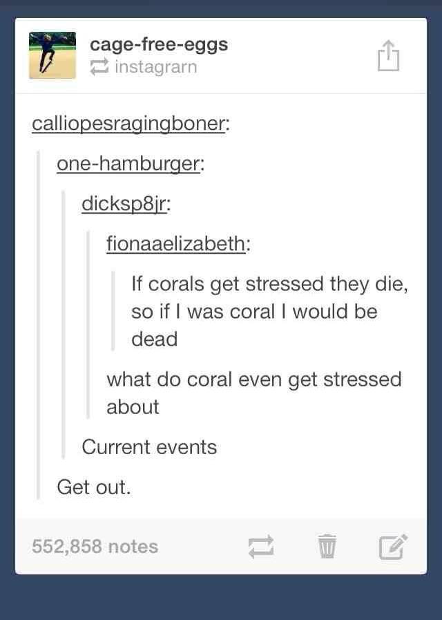 What do corals get stressed about?