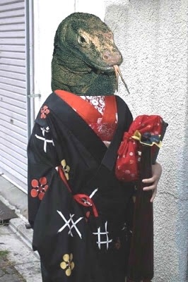 Accidentally image searched 'kimono dragon' instead of 'Komodo dragon'. Was not disappointed