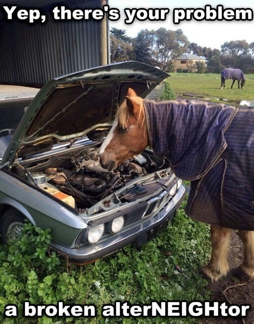 When all my mechanic does is HORSE around...