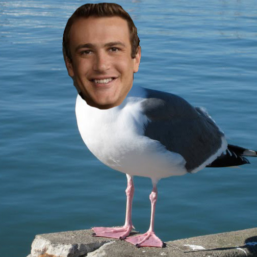 Jason Seagull