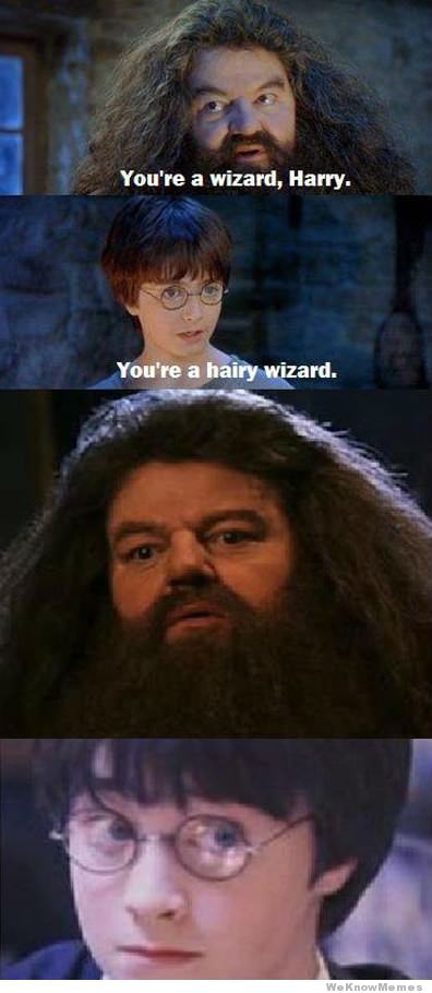 You're a wizard Harry
