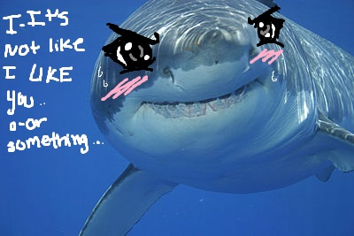 Why the f*ck is this a thing (Kawaii Shark week)