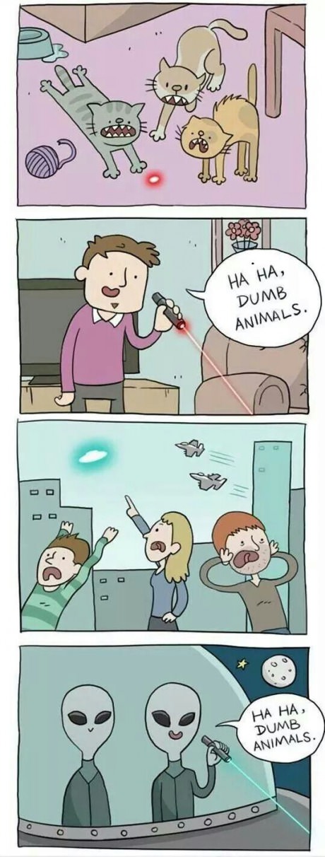 Dumb Animals