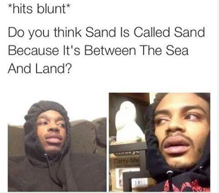 *hits blunt* If I delete something, where does it go?