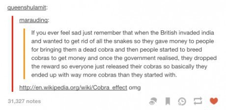 The cobra effect