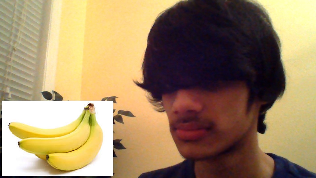 Potassium allows to grow hairs and hide the identity from the lemons