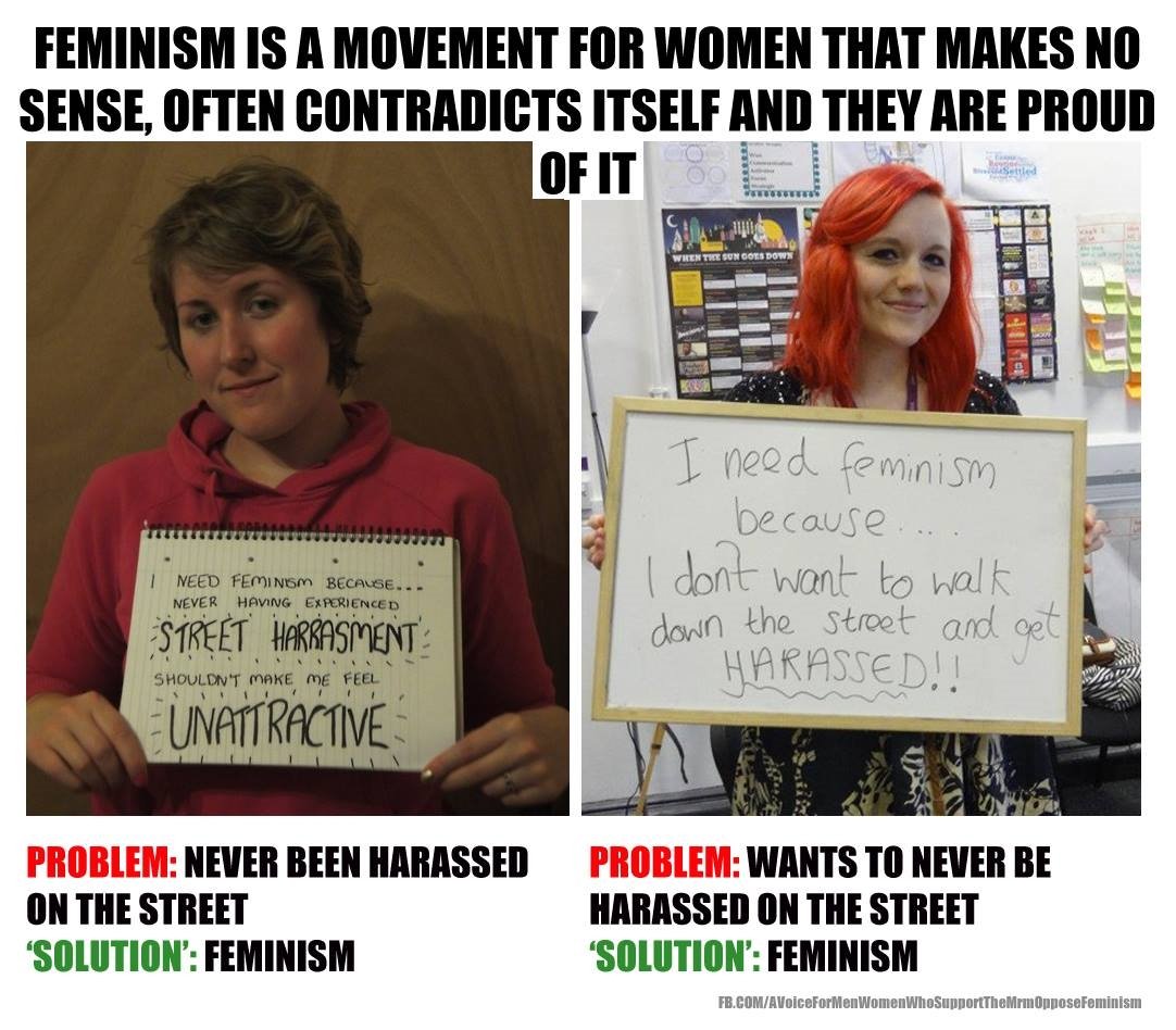 Sense isn't part of the feminist agenda
