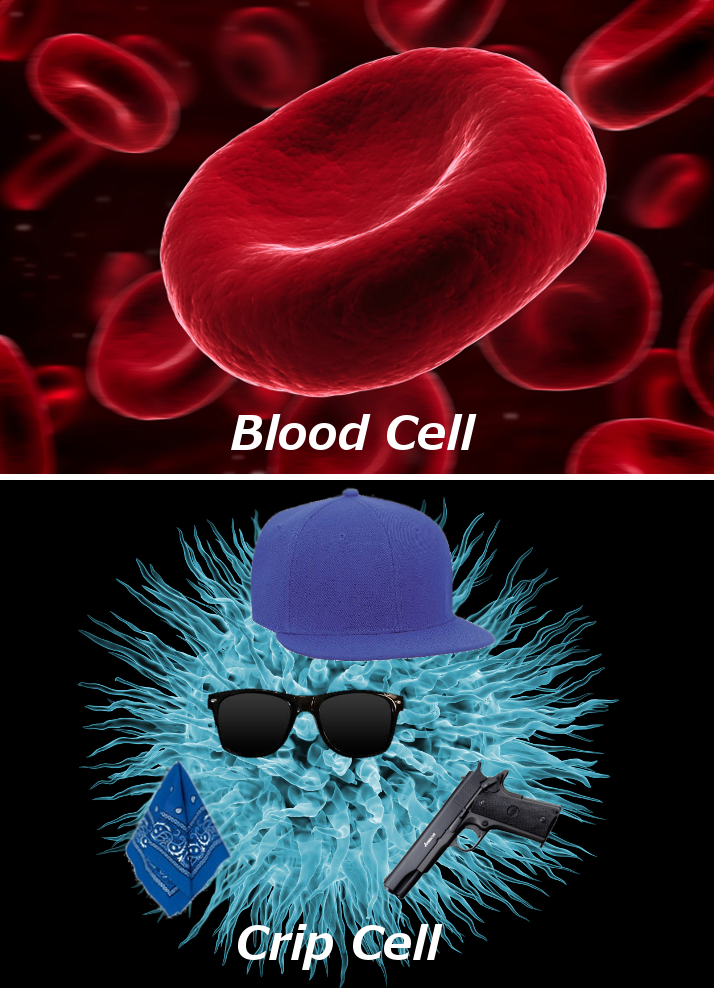 Rival Cells...