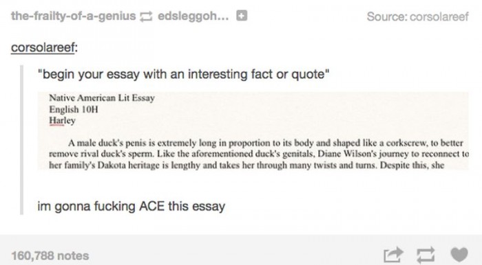 How to ace an essay