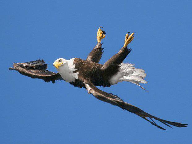 This is how inverted freedom is at merica