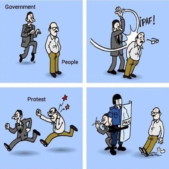 Government in a Nutshell