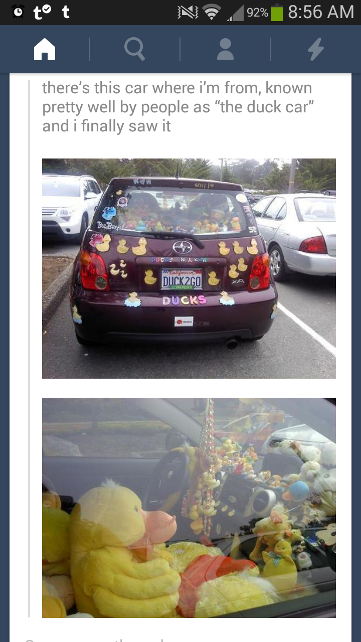 Somebody must really like ducks