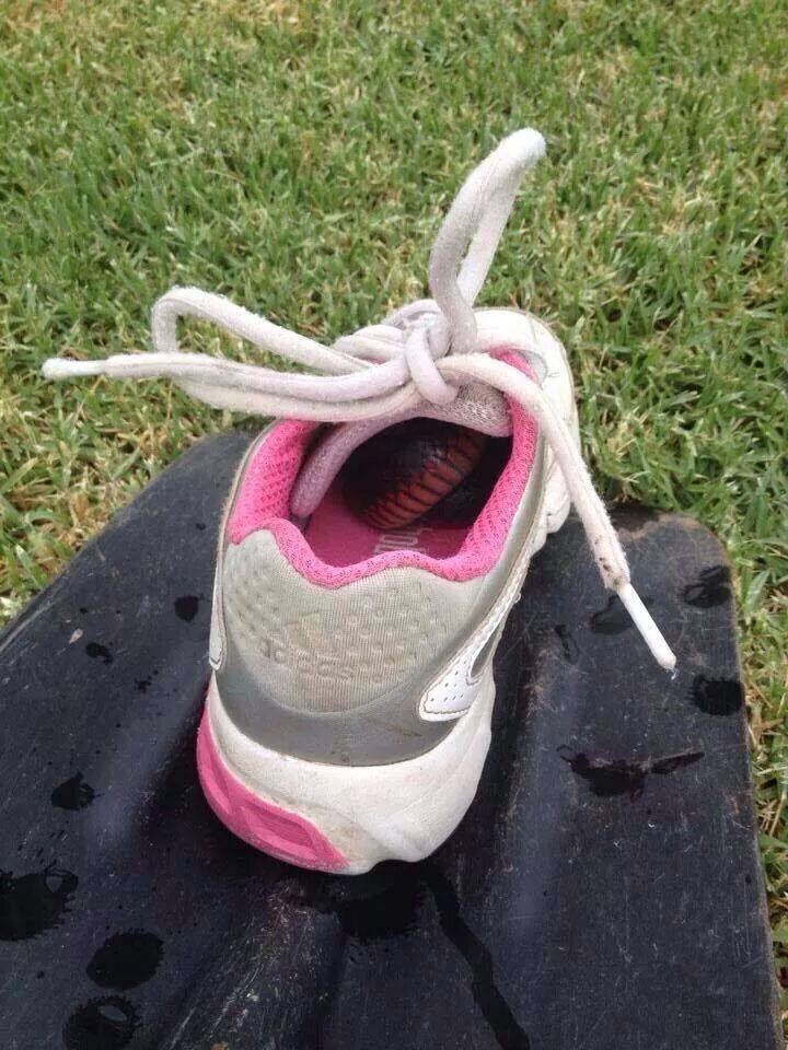 In Australia, this is why we check our shoes.