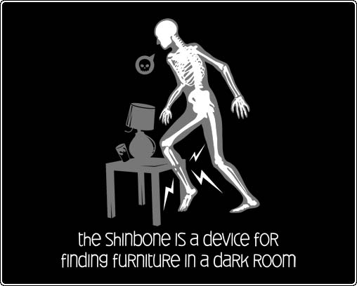 The shinbone...