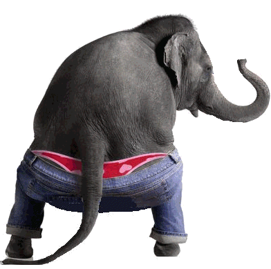 Dat ass!