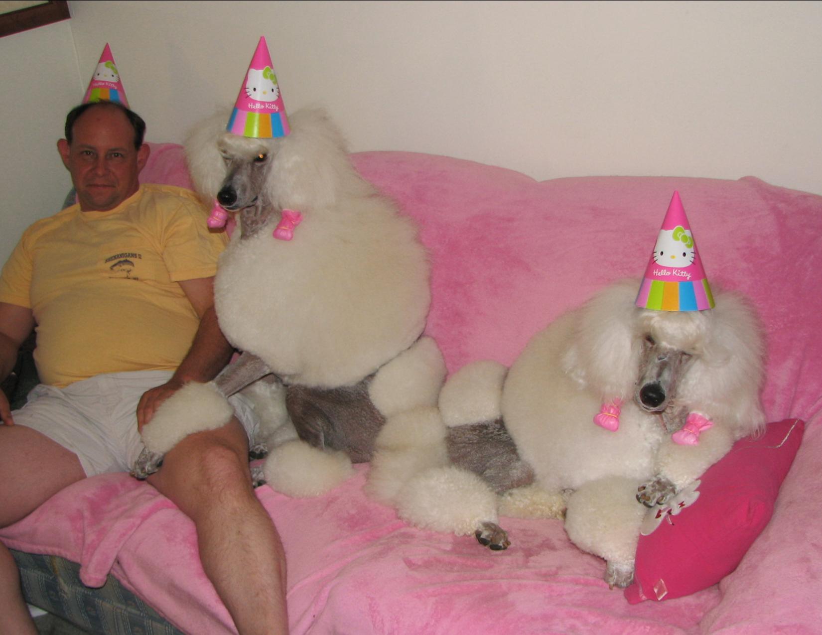 Googled "worst birthday ever". Was not disappointed.