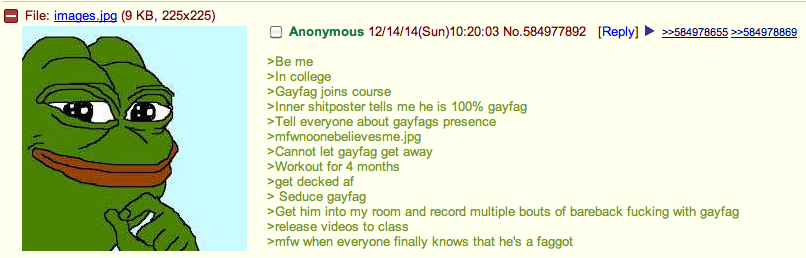Anon Exposes Gayfag