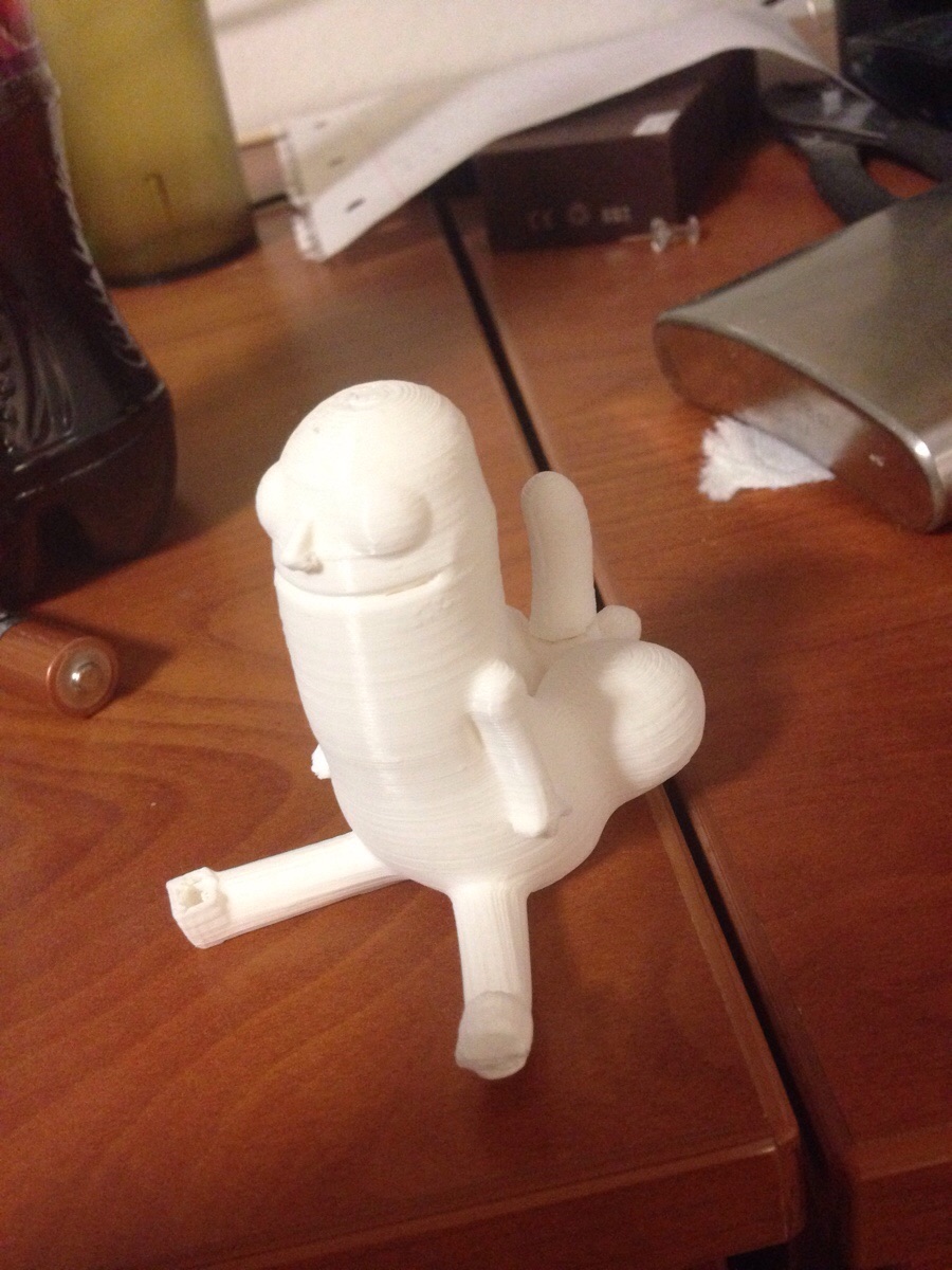 3D printed dick-butt, this is the future of technology.