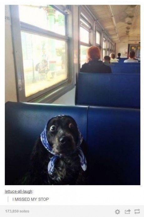 When you miss your stop
