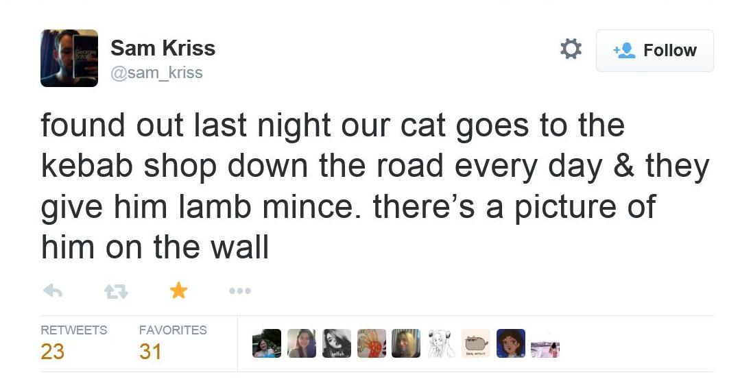 Cat goals
