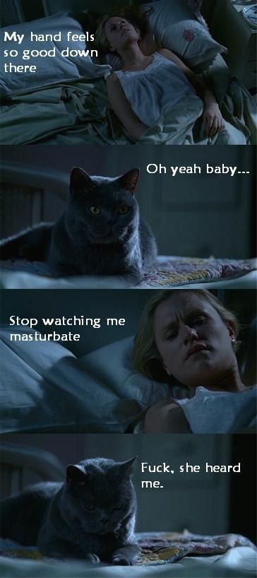 Sabrina's cat was a perv