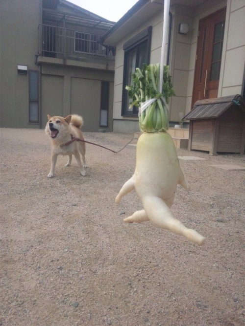 It's getting away!!!