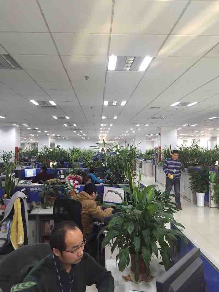 They must have really enjoyed the "plants increase productivity" study here in China