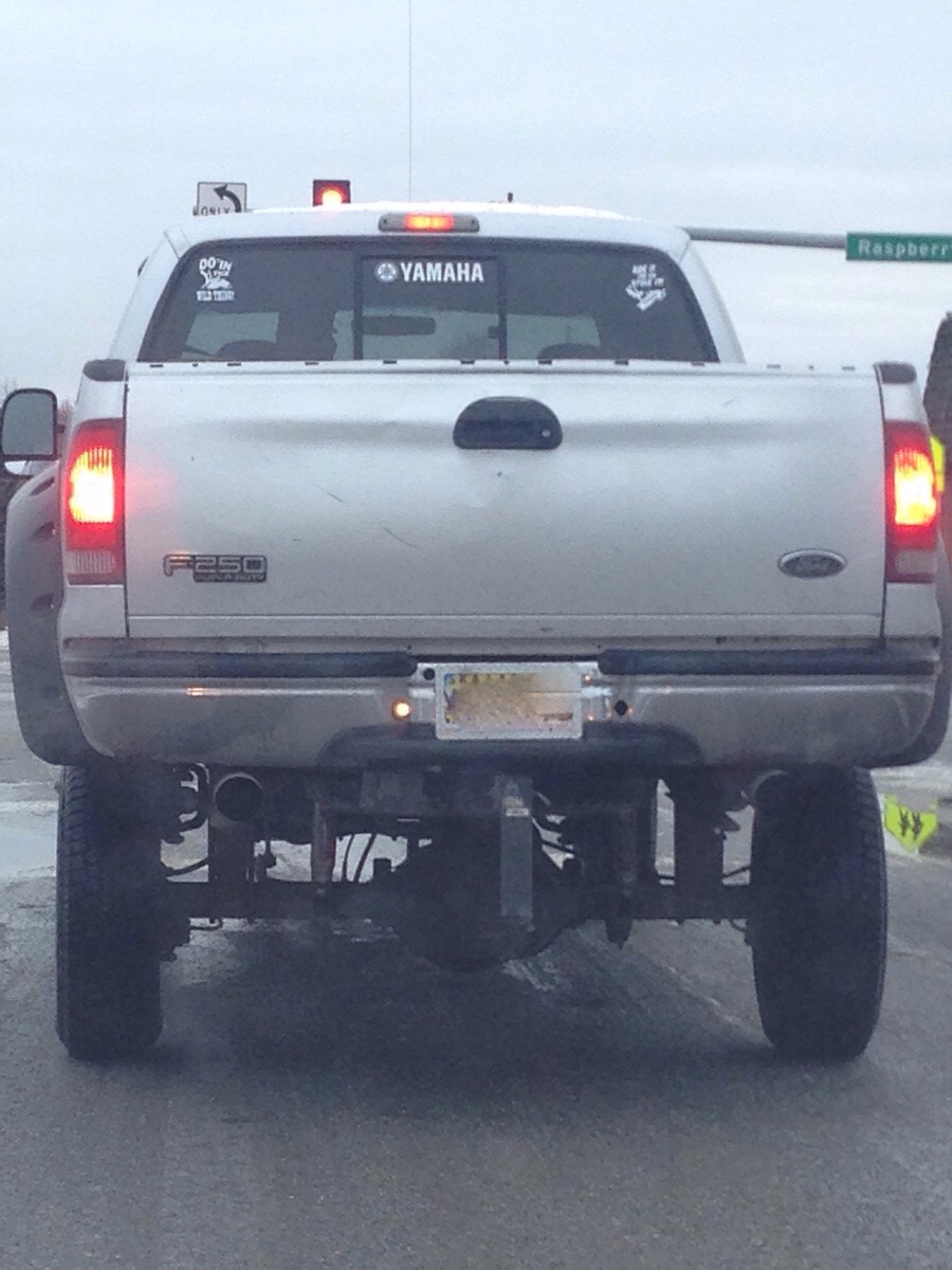 Looks like someone skipped leg day.
