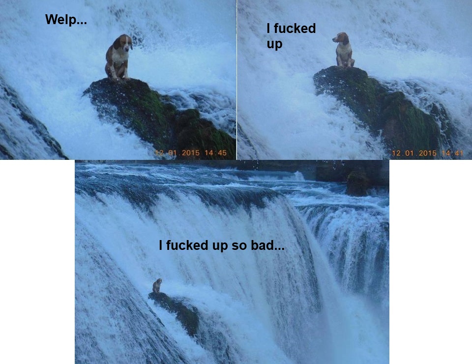 The dog's thoughts when he got himself stuck on the waterfall